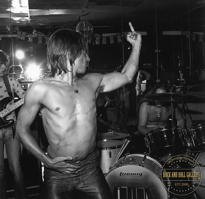 美品】 Iggy Pop 1st&2nd LP2枚セット！ - メルカリ