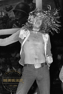 Led Zeppelin / Robert Plant - LZ-RU-006