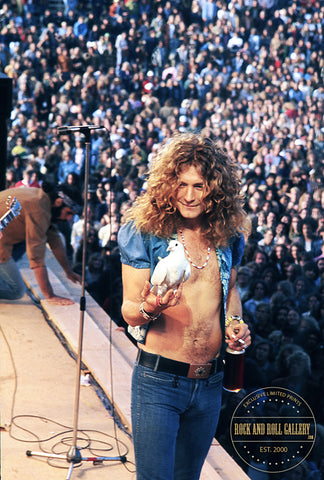 Led Zeppelin / Robert Plant - LZ-JF-003