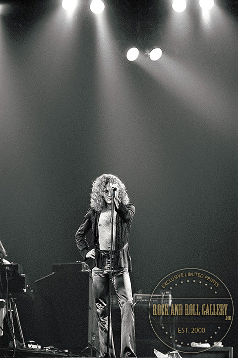Led Zeppelin / Robert Plant - LZ-RU-005