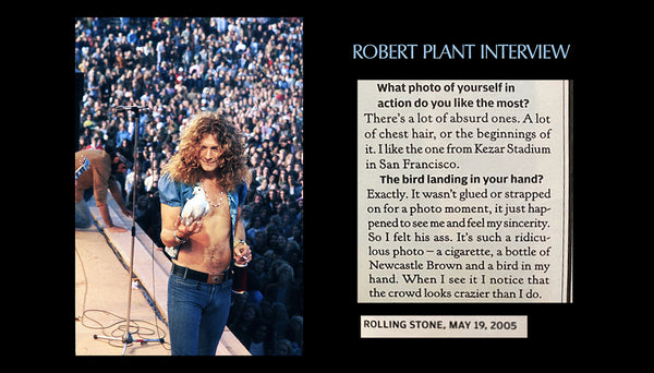 Led Zeppelin / Robert Plant - LZ-JF-003